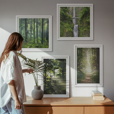 Mur de tableaux Rayons de lumière des forêts vertes
