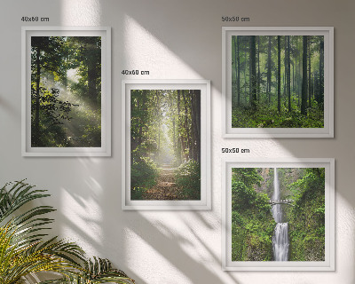 Mur de tableaux Rayons de lumière des forêts vertes