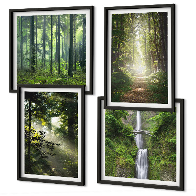 Mur de tableaux Rayons de lumière des forêts vertes