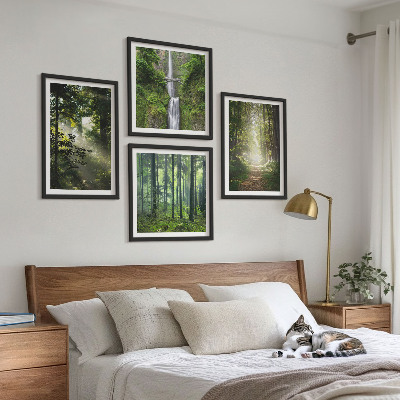 Mur de tableaux Rayons de lumière des forêts vertes
