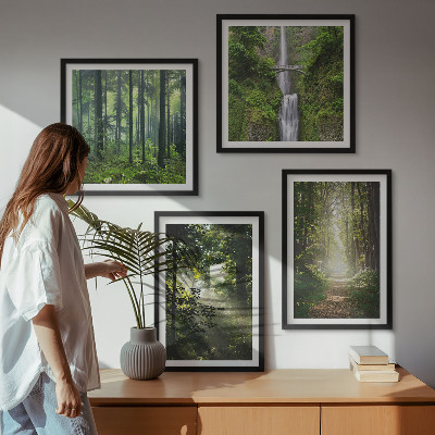 Mur de tableaux Rayons de lumière des forêts vertes