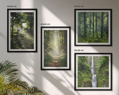 Mur de tableaux Rayons de lumière des forêts vertes