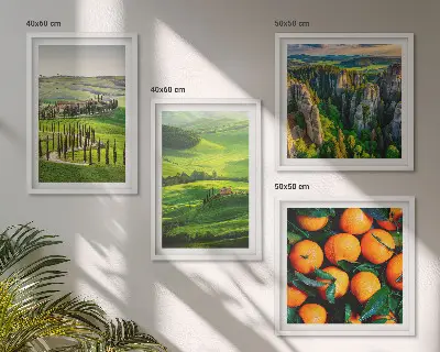 Mur de tableaux la campagne italienne avec des oranges et des éléments naturels