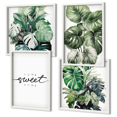 Mur de tableaux Plantes vertes sweet home