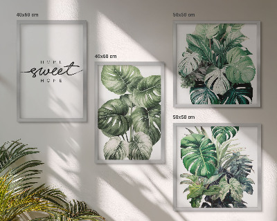 Mur de tableaux Plantes vertes sweet home