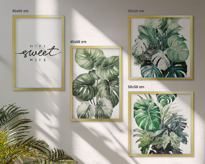 Mur de tableaux Plantes vertes sweet home