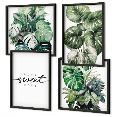 Mur de tableaux Plantes vertes sweet home