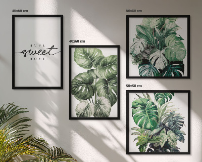 Mur de tableaux Plantes vertes sweet home