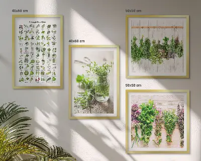 Herbes séchées pour la cuisine polyptyque composé de 2 cadres