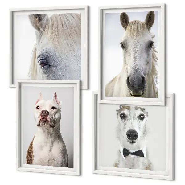 Portraits élégants de chiens et de chevaux ensemble de 4 tableaux