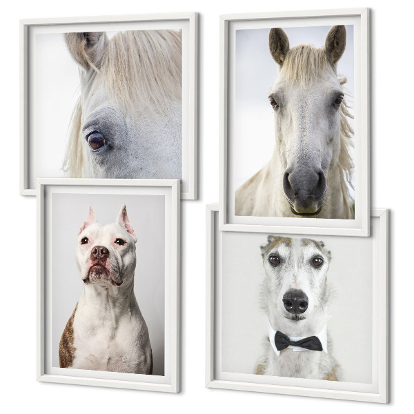 Ensemble de 4 tableaux Portraits élégants de chiens et de chevaux