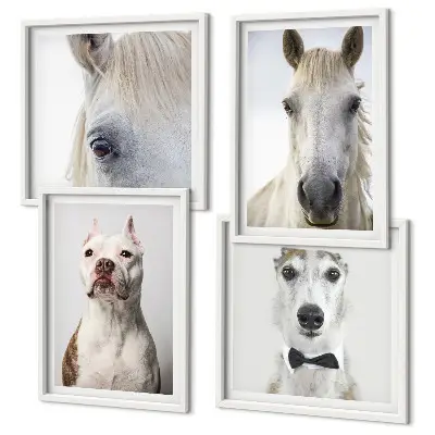 Portraits élégants de chiens et de chevaux ensemble de 4 tableaux