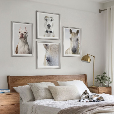 Ensemble de 4 tableaux Portraits élégants de chiens et de chevaux