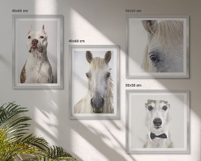 Ensemble de 4 tableaux Portraits élégants de chiens et de chevaux