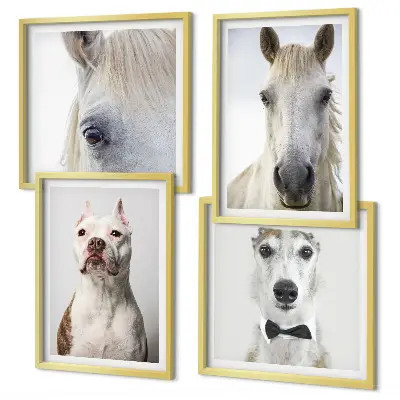 Portraits élégants de chiens et de chevaux ensemble de 4 tableaux