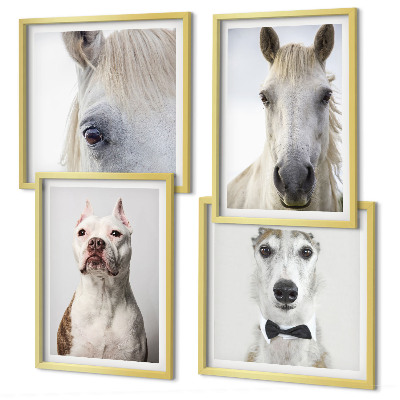 Ensemble de 4 tableaux Portraits élégants de chiens et de chevaux