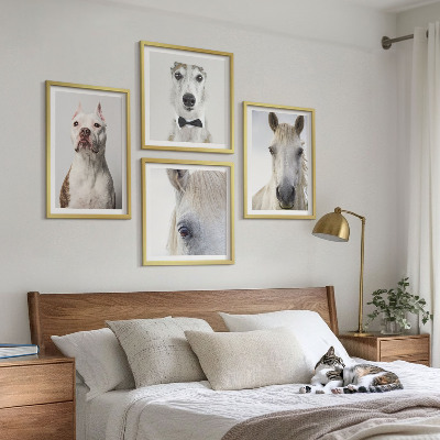 Ensemble de 4 tableaux Portraits élégants de chiens et de chevaux
