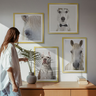 Ensemble de 4 tableaux Portraits élégants de chiens et de chevaux