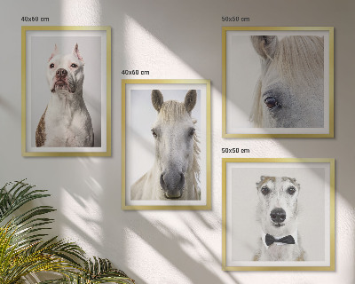 Ensemble de 4 tableaux Portraits élégants de chiens et de chevaux
