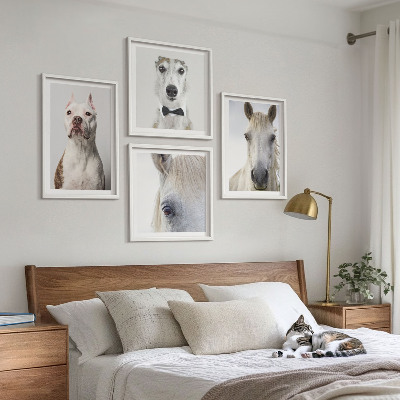 Ensemble de 4 tableaux Portraits élégants de chiens et de chevaux