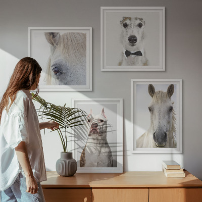 Ensemble de 4 tableaux Portraits élégants de chiens et de chevaux