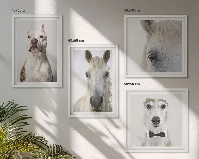 Portraits élégants de chiens et de chevaux ensemble de 4 tableaux