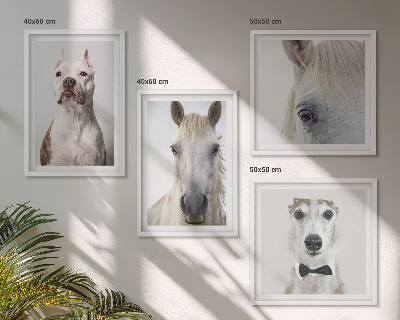 Ensemble de 4 tableaux Portraits élégants de chiens et de chevaux