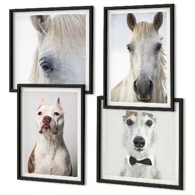 Portraits élégants de chiens et de chevaux ensemble de 4 tableaux