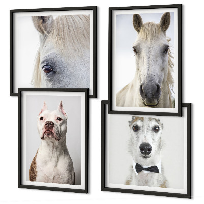 Ensemble de 4 tableaux Portraits élégants de chiens et de chevaux