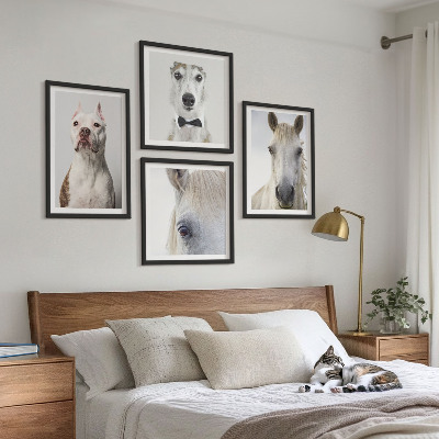 Ensemble de 4 tableaux Portraits élégants de chiens et de chevaux