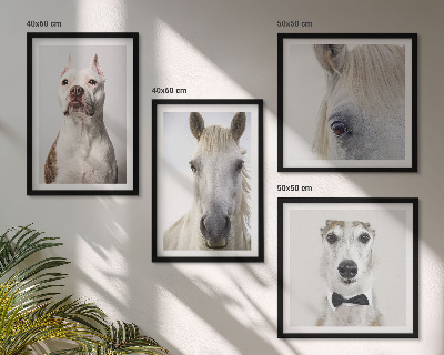 Ensemble de 4 tableaux Portraits élégants de chiens et de chevaux