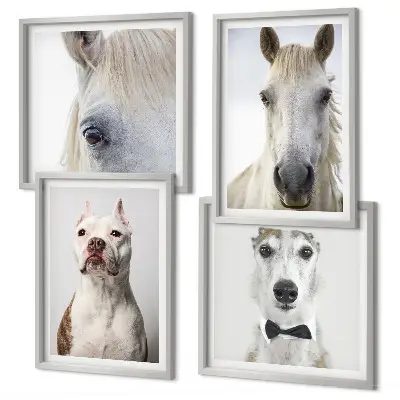 Portraits élégants de chiens et de chevaux ensemble de 4 tableaux