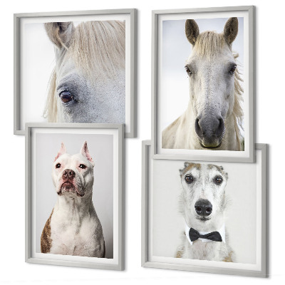 Ensemble de 4 tableaux Portraits élégants de chiens et de chevaux