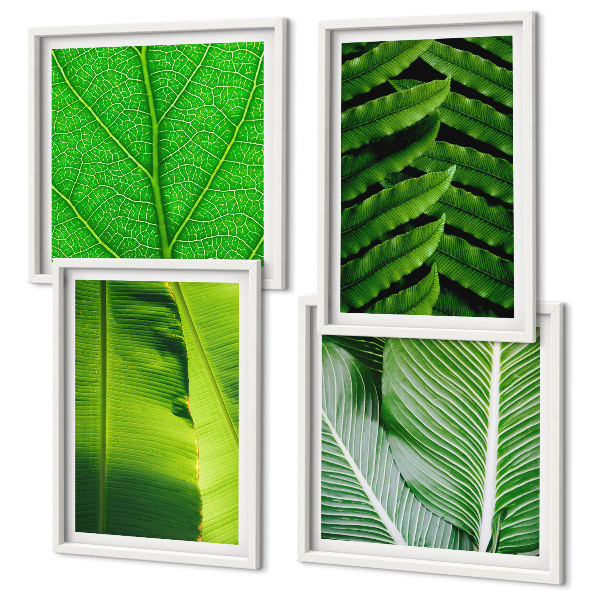 Mur de tableaux Gros plan sur des feuilles tropicales