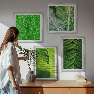 Mur de tableaux Gros plan sur des feuilles tropicales