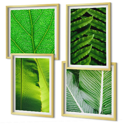 Mur de tableaux Gros plan sur des feuilles tropicales