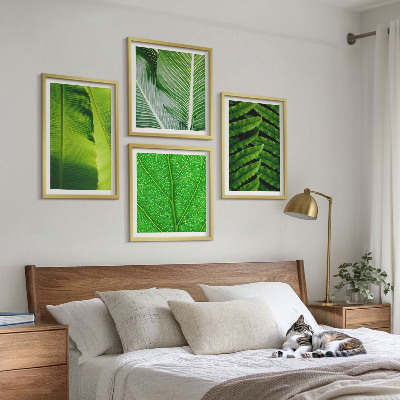 Mur de tableaux Gros plan sur des feuilles tropicales