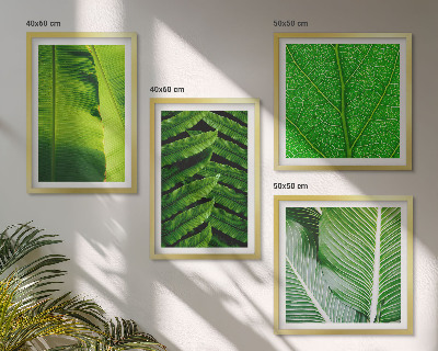 Mur de tableaux Gros plan sur des feuilles tropicales