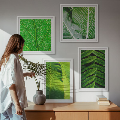 Mur de tableaux Gros plan sur des feuilles tropicales