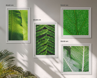 Mur de tableaux Gros plan sur des feuilles tropicales