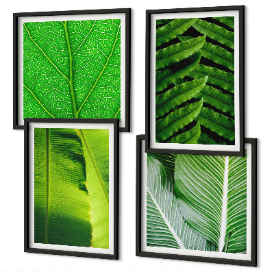 Mur de tableaux Gros plan sur des feuilles tropicales