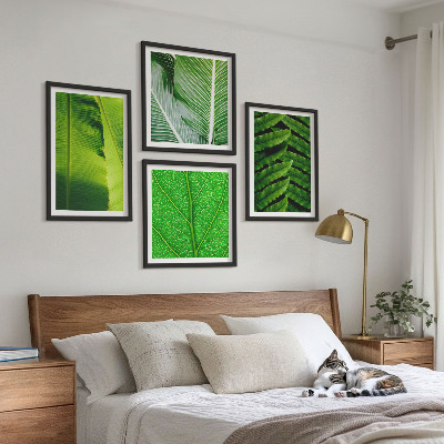 Mur de tableaux Gros plan sur des feuilles tropicales
