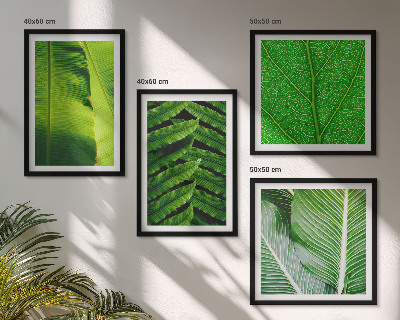 Mur de tableaux Gros plan sur des feuilles tropicales
