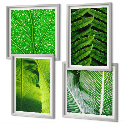 Mur de tableaux Gros plan sur des feuilles tropicales