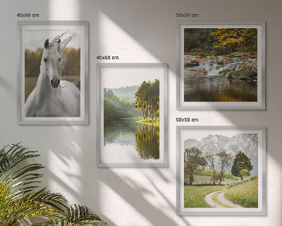 Ensemble de 4 tableaux Chevaux blancs nature de la rivière
