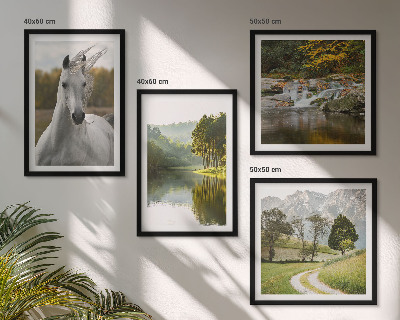 Ensemble de 4 tableaux Chevaux blancs nature de la rivière