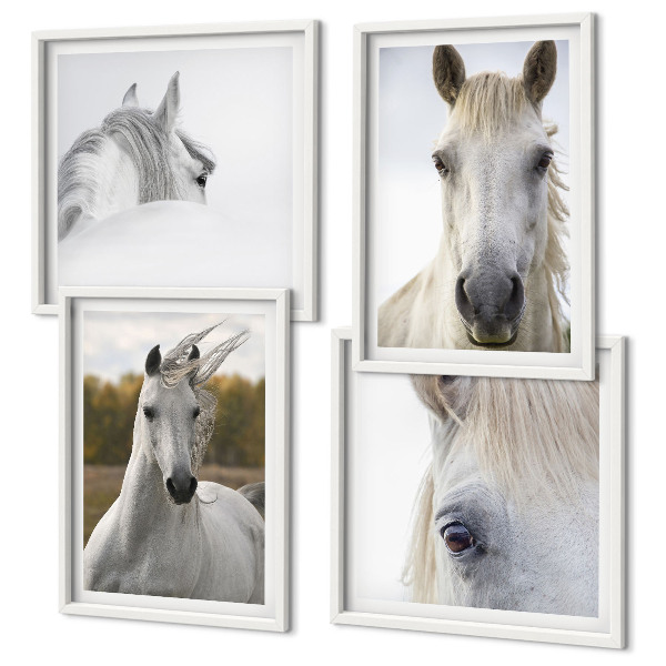Ensemble de 4 tableaux Chevaux blancs