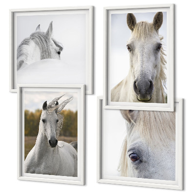 Ensemble de 4 tableaux Chevaux blancs