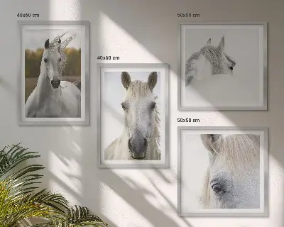 Chevaux blancs ensemble de 4 tableaux