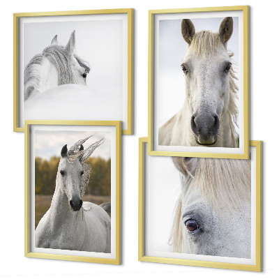 Ensemble de 4 tableaux Chevaux blancs